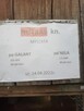 Ogier konik polski - 2