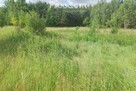 Działka rolno-leśna - 6