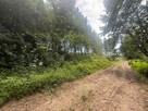 Budowlana działka z lasem w Bieszczadach! - 10