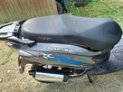 Skuter Zipp Quantum - 10