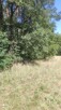 Sprzedam piękną leśną działkę budowlaną - 7