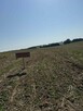Sprzedam działkę rolną o powierzchni 2,03 ha - 2