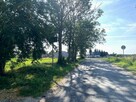 Działka z warunkami zabudowy Borówno gm. Kowalewo Pomorskie - 4