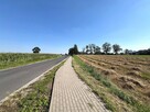 Działka z warunkami zabudowy Borówno gm. Kowalewo Pomorskie - 13