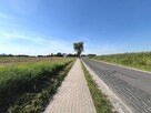 Działka z warunkami zabudowy Borówno gm. Kowalewo Pomorskie - 10