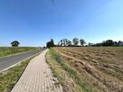 Działka z warunkami zabudowy Borówno gm. Kowalewo Pomorskie - 15