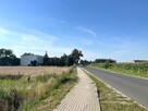 Działka z warunkami zabudowy Borówno gm. Kowalewo Pomorskie - 12