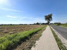 Działka z warunkami zabudowy Borówno gm. Kowalewo Pomorskie - 11