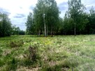 Działka siedliskowa Jaktorów - 4