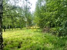 Działka siedliskowa Jaktorów - 6