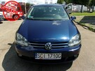 Volkswagen Golf 1,6 Mpi  Edition Klimatronic 2-stref, Ele lusterka, Ele szyby, 5 drzwi - 3
