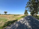 Działka z warunkami zabudowy Borówno gm. Kowalewo Pomorskie - 7