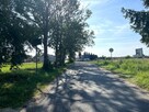 Działka z warunkami zabudowy Borówno gm. Kowalewo Pomorskie - 6