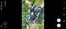 Honda CBR 250 proszę najpierw napisać bo nie zawsze mogę ode - 2