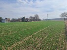 DZIAŁKA ZAWADA k. ZAMOŚĆ rolno-budowlana woj. lubelskie, spr - 2