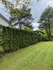 Przycinanie i formowanie żywopłotu (szybko i tamio ) - 8