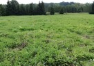Działka budowlana Szczepanów gm. Marcinowice, Szczepanów - 1