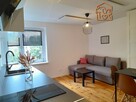 Studio przyjazne dla zwierząt, Tomasza 5 - 6