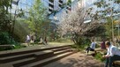 REZERWACJA!Apartament 52,37m2 ,3 pok. w stanie deweloperskim /Stare Miasto - 1