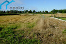 Działka budowlana Zaborze gm. Chybie, Darwina - 3