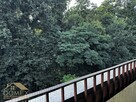 Mieszkanie Jastrzębie-Zdrój - 7