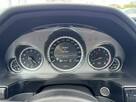 Mercedes E 220 250 CGI BlueEfficiency Avantgarde - 15