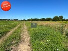 Działka budowlana Dobra gm. Dobra (Szczecińska) - 4