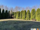 Dom wolnostojący, dwulokalowy z 2 garażami. - 4