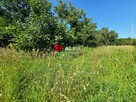 Dom Świdnica - 8