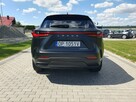 NX450h+ 309KM Omotenshi Mod,2025 Salon Czarny Mat Przejęcie Leasingu - 8