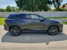 NX450h+ 309KM Omotenshi Mod,2025 Salon Czarny Mat Przejęcie Leasingu - 10