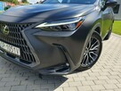NX450h+ 309KM Omotenshi Mod,2025 Salon Czarny Mat Przejęcie Leasingu - 12
