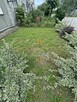 Bezczynszowe | 2 Pokoje | po Remoncie | Ogród - 8