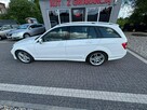 Mercedes C 220 Super stan! - 14