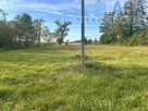 Cichmiana, gm. Dąbie - działka rolna na sprzedaż - 2