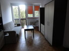 Wynajmę mieszkanie we Wrocławiu - 9
