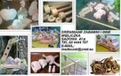 Śruby Nakrętki pokrętła drewniane ,prasy ,szywnice ,zabawki - 10