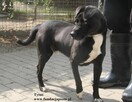 Tytus - 3