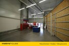Od zaraz lokal handlowo-usługowy 540mkw - 4