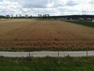 Działka Manowo, Sezamkowa - 8