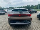 Cupra Kraków - Centrum - 6