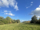 Działka rolna Będzelin gm. Koluszki, Leśna - 4