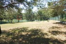 Działka rolna Martiany gm. Kętrzyn - 11