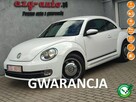 Volkswagen Beetle bezwypadkowy serwis wyposażenie Gwarancja - 1