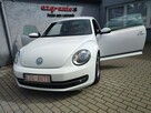 Volkswagen Beetle bezwypadkowy serwis wyposażenie Gwarancja - 2