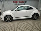 Volkswagen Beetle bezwypadkowy serwis wyposażenie Gwarancja - 5