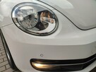 Volkswagen Beetle bezwypadkowy serwis wyposażenie Gwarancja - 15