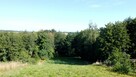 Działka budowlana Czchów Czchów - 4