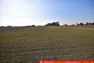 Działki budowlane blisko Lublina, wydane WZ. - 3