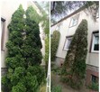 Usługi pielęgnacji ogrodów - 16